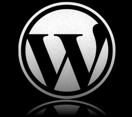 Wordpress 2.9